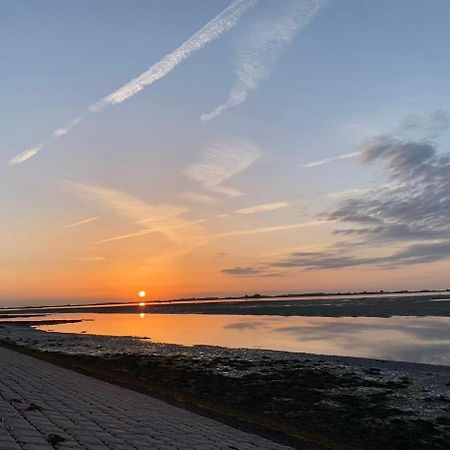 Vakantiewoning De Bosrand Aan Zee Синт Аналанд Екстериор снимка
