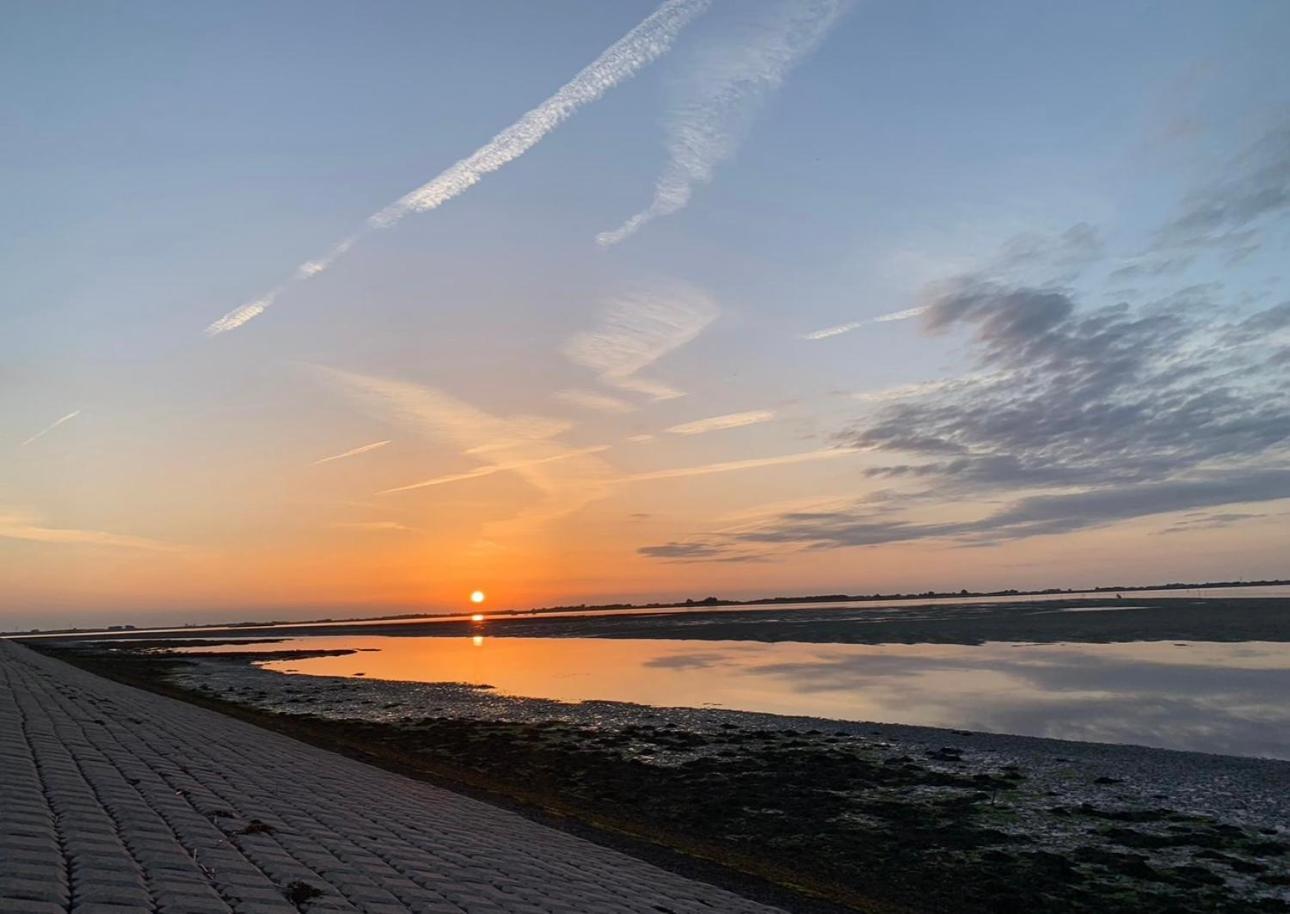 Vakantiewoning De Bosrand Aan Zee Синт Аналанд Екстериор снимка