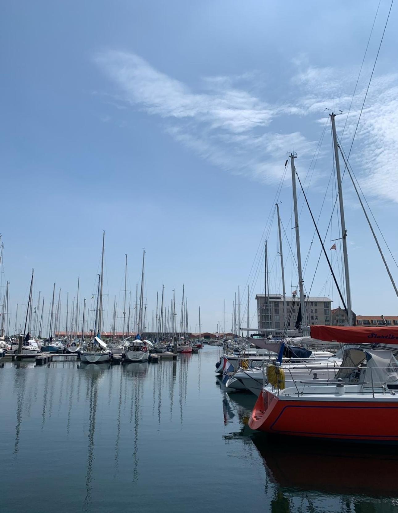 Vakantiewoning De Bosrand Aan Zee Синт Аналанд Екстериор снимка