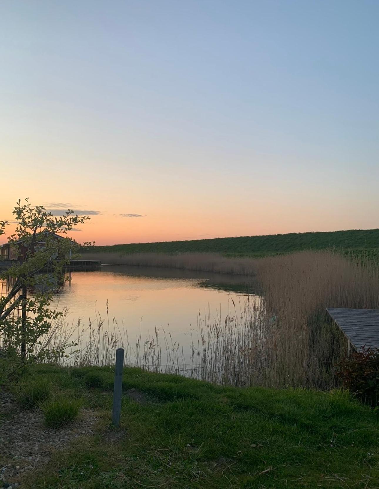 Vakantiewoning De Bosrand Aan Zee Синт Аналанд Екстериор снимка