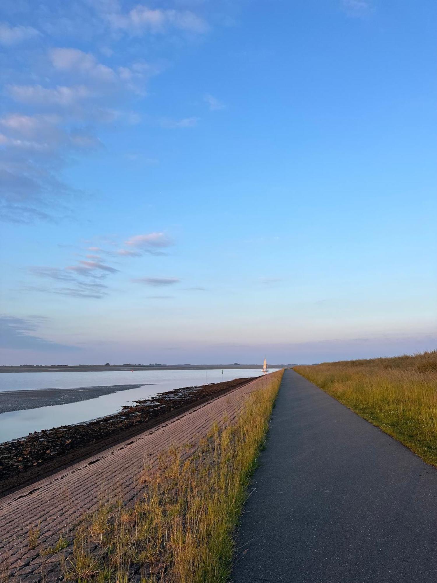 Vakantiewoning De Bosrand Aan Zee Синт Аналанд Екстериор снимка